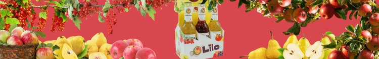 Vier Flaschen Lilo Fruchtsaft im Karton umgeben von Äpfeln, Birnen und roten Johannisbeeren vor rotem Hintergrund